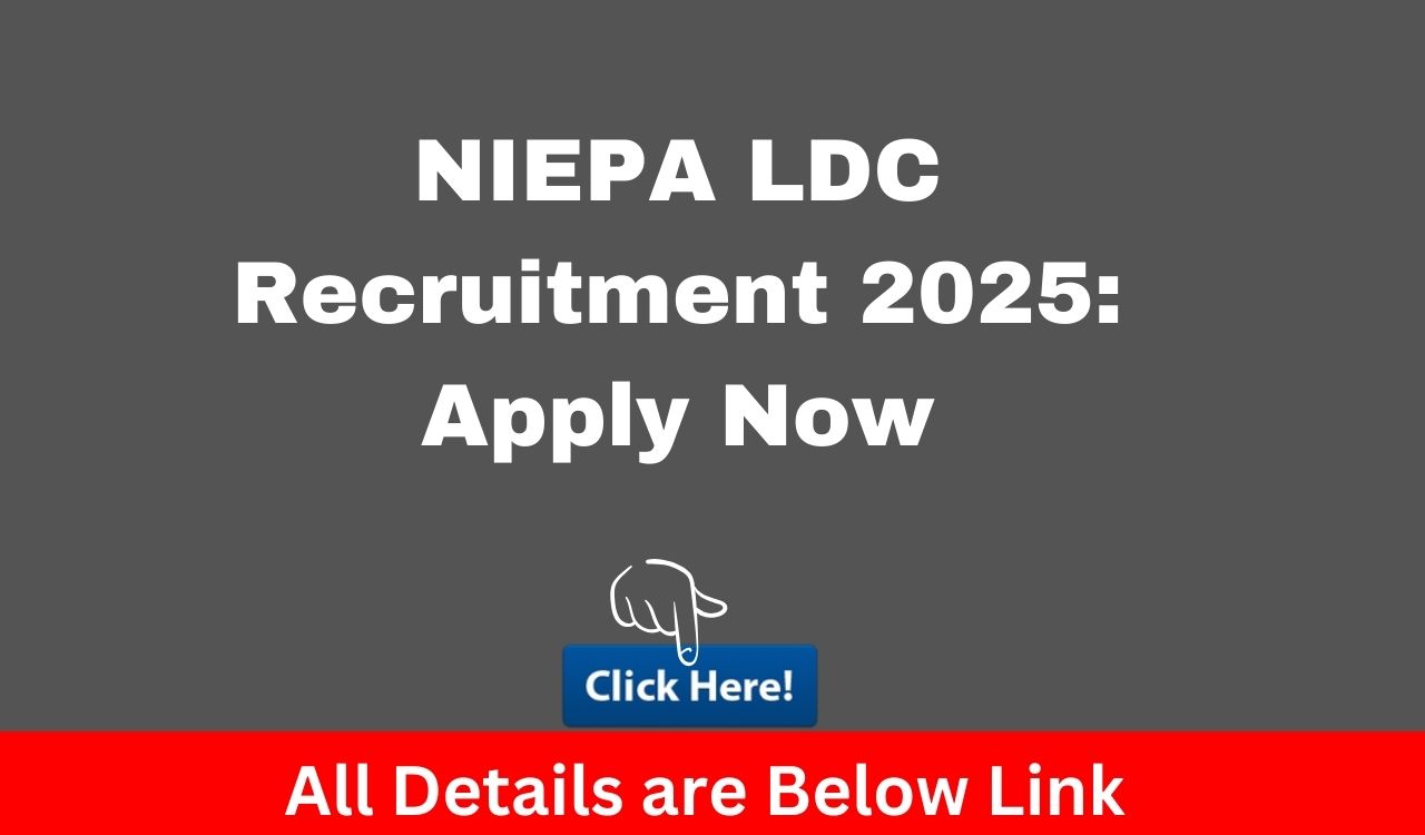 NIEPA LDC Recruitment 2025: Apply Now